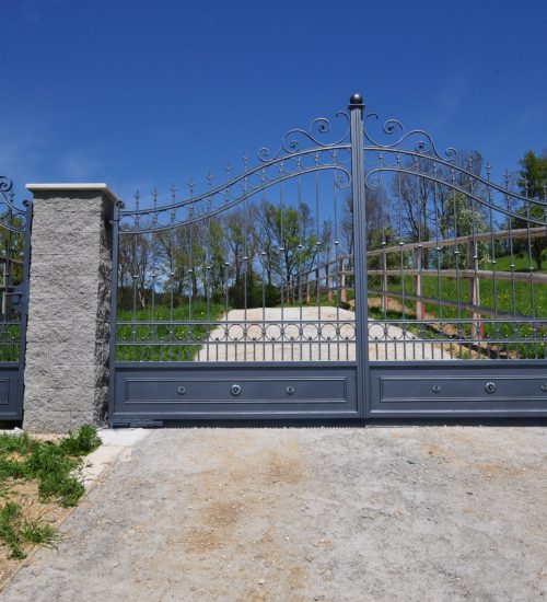 Wachter-Einfahrtstor und Türe automatisiert